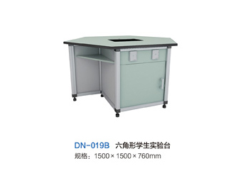 DN-019B六角形學(xué)生實(shí)驗(yàn)臺(tái)