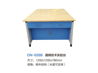 DN-026B通用技術(shù)實(shí)驗(yàn)臺